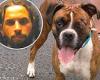 Ohio man 'called 911 to say his dog had shot itself in face - then admitted he ...
