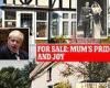 Tax rise to cost worker extra £255 as families reveal they sold homes to ...