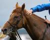 sport news Hurricane Lane set to blow rivals away at St Leger in final Classic of the Flat ...