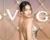 Shanina Shaik shows off her phenomenal body in a metallic slinky gown at New ...
