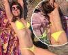 Elizabeth Hurley shows off her enviable physique in a yellow bikini as she ...