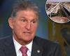 'I could not support 3.5 trillion': Joe Manchin says he won't back pricey ...