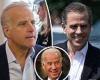 Joe Biden's son Hunter and younger brother 'used family name to win investors' ...