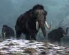 De-extinction: Woolly mammoths could be brought back to fight CLIMATE CHANGE, ...