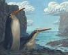 Fossils: School kids find remains of 4ft 7in penguin that roamed New Zealand 34 ...