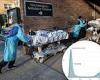 FEMA agrees to reimburse New York City hospitals $1 BILLION for treating Covid ...