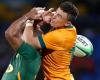 Rugby Championship live: Wallabies chasing back-to-back wins against Springboks