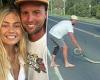 Elyse Knowles' fiancé Josh Barker saves a snake from the middle of the road