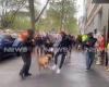 Protestor kicks a dog outside CFMEU headquarters as construction workers spark ...