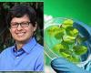 Scientists are working to develop plants that can deliver mRNA vaccine ...