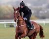 sport news Trainer Willie Mullins receives a massive blow as Monkfish is sidelined for the ...