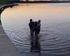 A tired kangaroo is pulled out of freezing waters in Canberra to safety in a ...