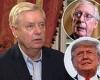 Graham tries to help Trump and McConnell bury the hatchet
