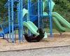 Mama bear teaches her cub how to use the slide at North Carolina elementary ...