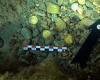 Amateur freedivers discover 53 perfectly-preserved Roman gold coins off the ...