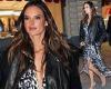 Alessandra Ambrosio glams up in leopard-print dress after environmental ...