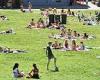Covid Freedom Day NSW: Boozy picnics welcome with alcohol restrictions on 18 ...