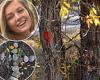 Harrowing photos show trees and rocks around Gabby Petito's death site marked ...