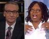 Bill Maher slams Whoopi Goldberg for claiming we need more than one national ...