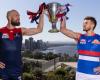 Live: Bulldogs try to ruin Demons' drought-breaking party in AFL grand final
