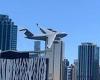 Heartstopping moment an RAAF C-17 cargo jet weaves through skyscrapers in ...