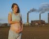 Air pollution causes almost 6MILLION premature births around the world every ...