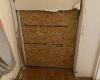 Police kick down woman's door and leave it secured with flimsy board after ...