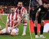 sport news Stoke 1-0 West Brom: Late strike from Nick Powell sinks leaders and takes ...