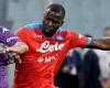 sport news Napoli's Kalidou Koulibaly alleges Fiorentina fans called him a 'f***ing ...