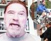 Arnold Schwarzenegger appears via video link at Q&A due to injury... with fans ...