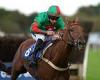 sport news Robin Goodfellow's Racing Tips: Best bets for Tuesday, October 5