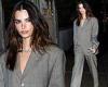 Emily Ratajkowski makes first red carpet appearance since accusing Robin Thicke ...