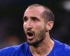sport news Chiellini insists Italy's defeat by Spain will help them 'grow' despite losing ...