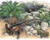 Meet T.Rex's Welsh ancestor! Bizarre chicken-sized dinosaur roamed Wales 215 ...