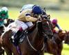 sport news Robin Goodfellow's Racing Tips: Best bets for Friday, October 8
