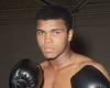 sport news Fury trainer says Tyson is better than Ali, Tyson, Lewis and Klitschko 