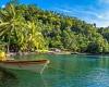 Castaways survive 29 DAYS adrift in the Pacific by eating floating coconuts and ...