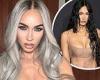 Megan Fox dyes her black hair a light silver color for new role in the movie ...