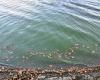 Lake Windermere could become 'ecologically dead' due to amount of sewage pumped ...
