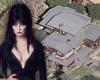 Life imitates art! Elvira actress Cassandra Peterson says she lived in a ...