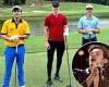 Harry Styles makes a colourful display in yellow polo shirt and enjoys golf ...