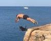 Dive buddies! Water-loving Staffy plunges off cliff alongside his owner in ...