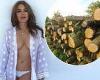Liz Hurley accused of 'tearing down nearly two dozen trees' on her £6million ...
