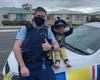 Adorable four-year-old boy calls New Zealand police to invite them over to play ...