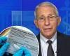 Fauci says vaccinated Americans can enjoy holiday gatherings together