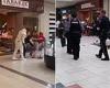 Shoppers scream in terror as gunman opens fire inside Pennsylvania mall, ...