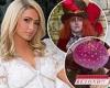 Paris Hilton enjoys lavish Alice In Wonderland themed bridal shower with ...