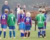 Oh deer! Moment two huge stags stage a pitch invasion at an under-10s football ...