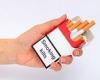 'Smoking kills' warning could be printed on EVERY cigarette under MP proposals ...