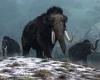 Fossils: Woolly mammoths may have been driven to extinction because it was TOO ...